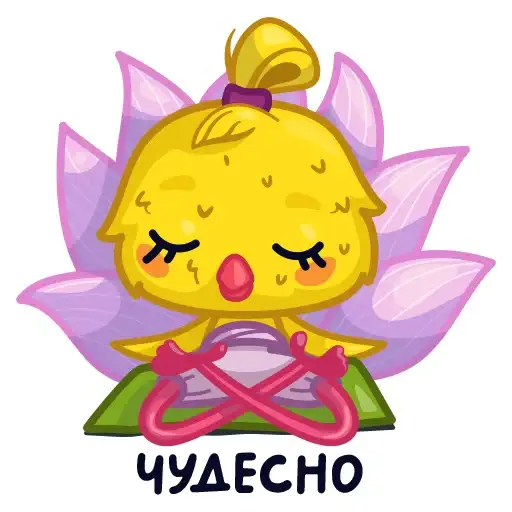 Chicken yogi Shusha preview