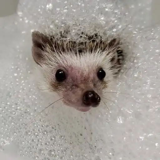 Sticker 😶‍🌫️