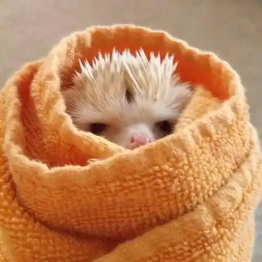 Sticker 😶‍🌫️