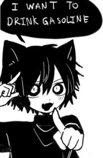 Magic 8-Ball Cat preview