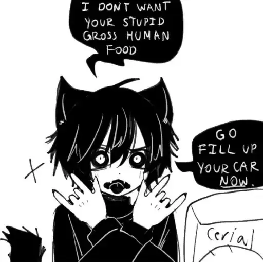 Magic 8-Ball Cat preview