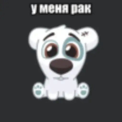 Спотти preview