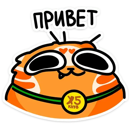 Рыжий кот Кешбэкс preview