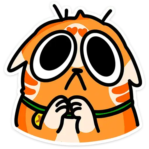 Рыжий кот Кешбэкс preview