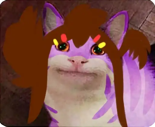 Cats Memes preview