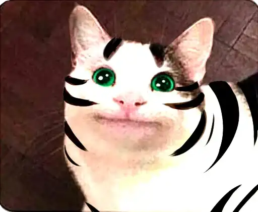 Cats Memes preview