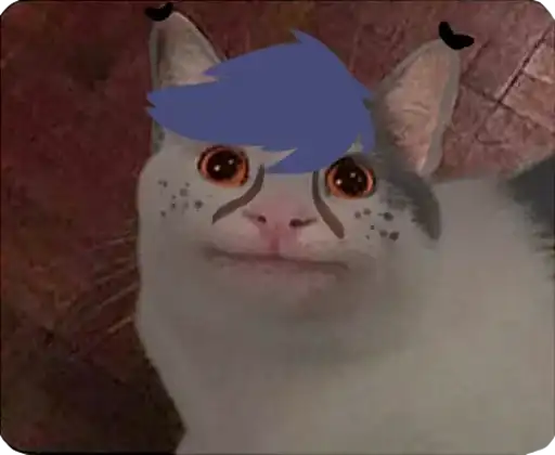 Cats Memes preview