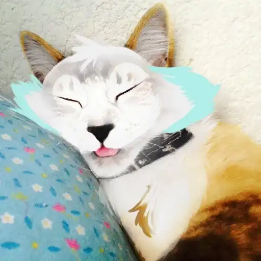 Sticker 🥳