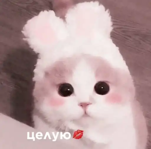 tmeaddsticersmagickittenbaby by f Stik Bot preview