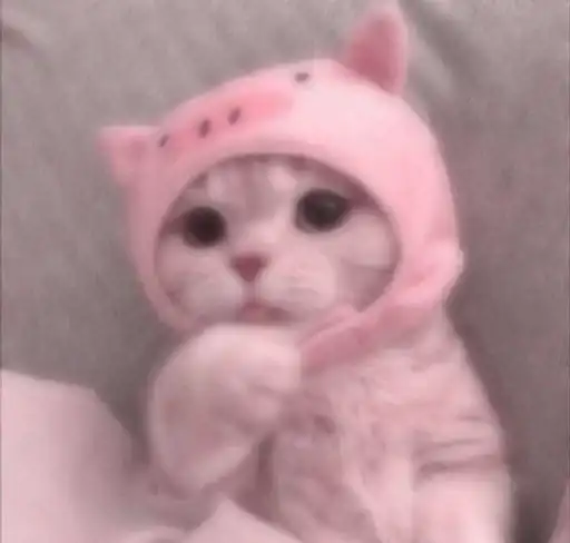 tmeaddsticersmagickittenbaby by f Stik Bot preview