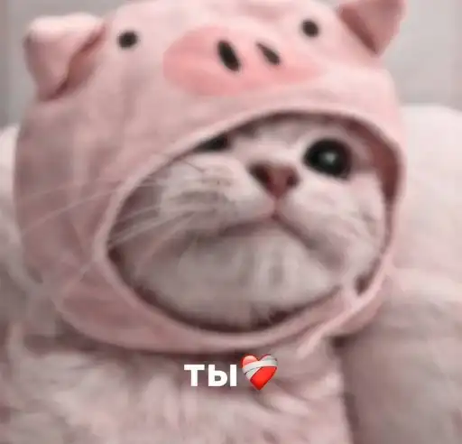 Sticker ❤️‍🩹