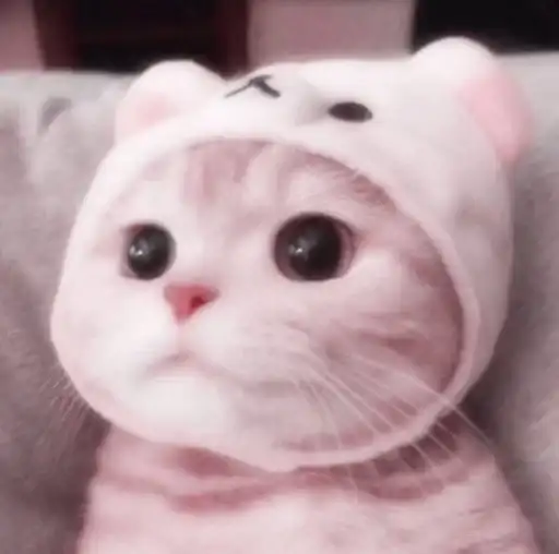 tmeaddsticersmagickittenbaby by f Stik Bot preview