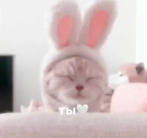 tmeaddsticersmagickittenbaby by f Stik Bot preview