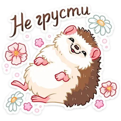 Вместо слов preview