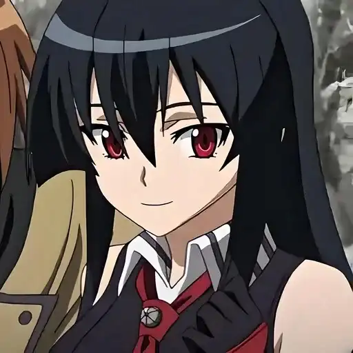 Убийца акаме preview