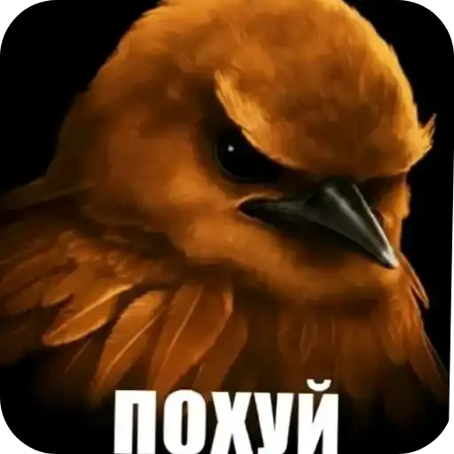 Sticker 🐦‍⬛️