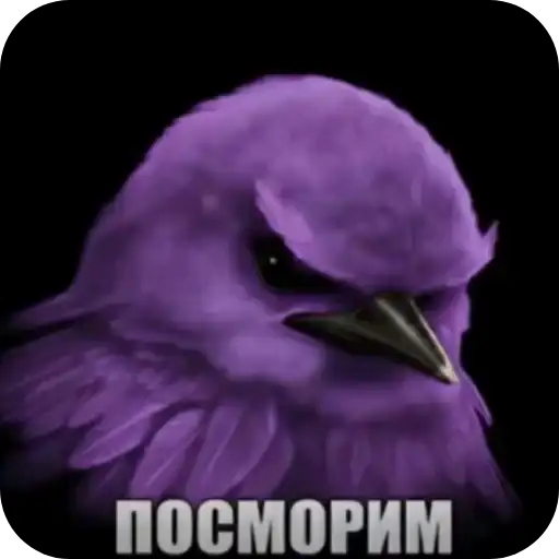 Sticker 🐦‍⬛️