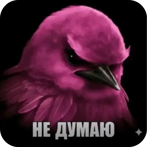 Sticker 🐦‍⬛️