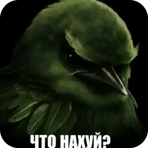 Sticker 🐦‍⬛️