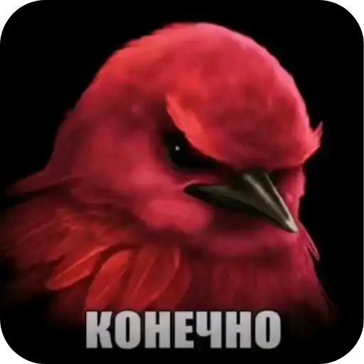 Sticker 🐦‍⬛️