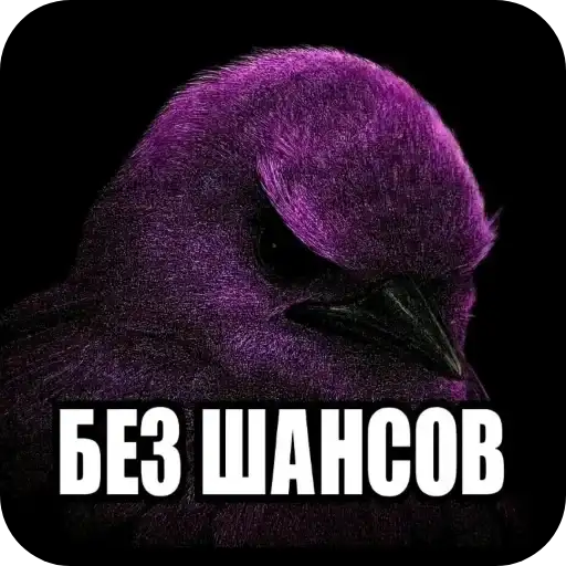 Sticker 🐦‍⬛️