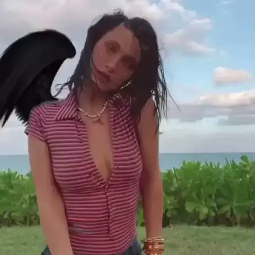 Архив дори preview