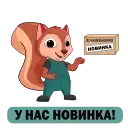 Squirrel EvaGold preview