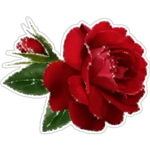 Sticker 🌹