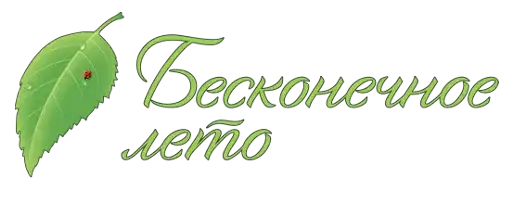 Бесконечное лето preview