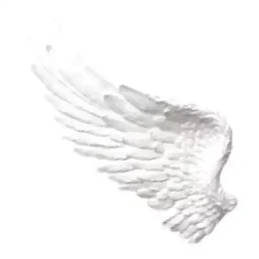 𖤝 𝒪𝒽 𝒜𝓃𝑔𝑒𝓁 preview