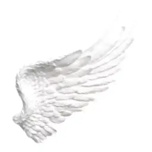 𖤝 𝒪𝒽 𝒜𝓃𝑔𝑒𝓁 preview