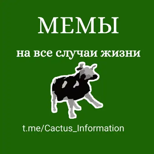 Мемы на все случаи жизни preview