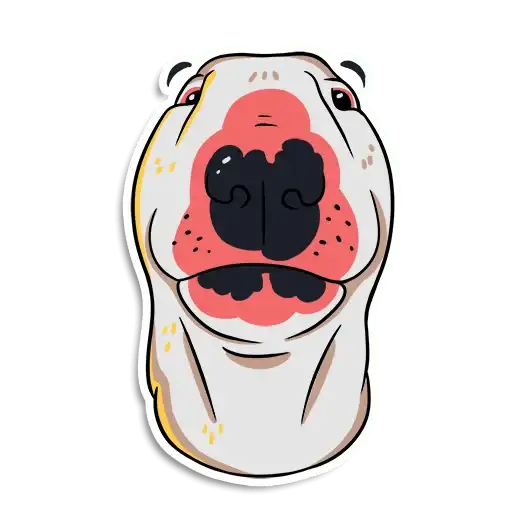Sticker 😶