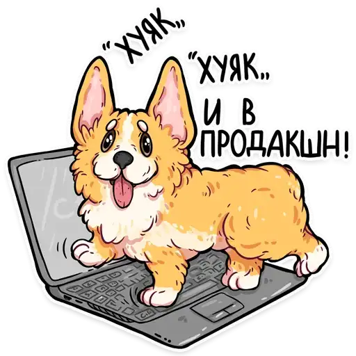 Корги кодеры preview