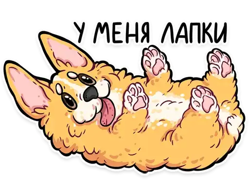 Корги кодеры preview