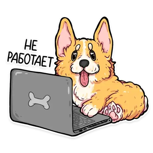 Корги кодеры preview