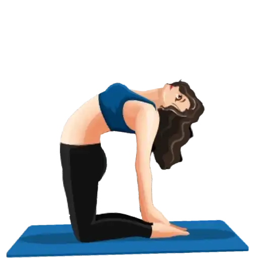Yoga Exercises preview