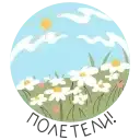 Congratulations Russia preview