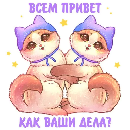 Sticker ♊️