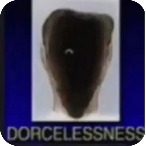 ►Жизнь Довела◄→ preview