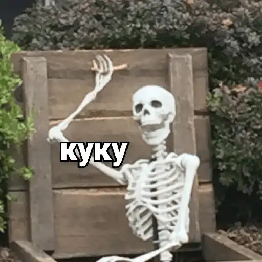 Sticker 🙋‍♂️