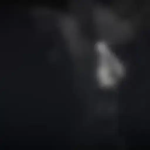 Sticker 🚶‍♀️