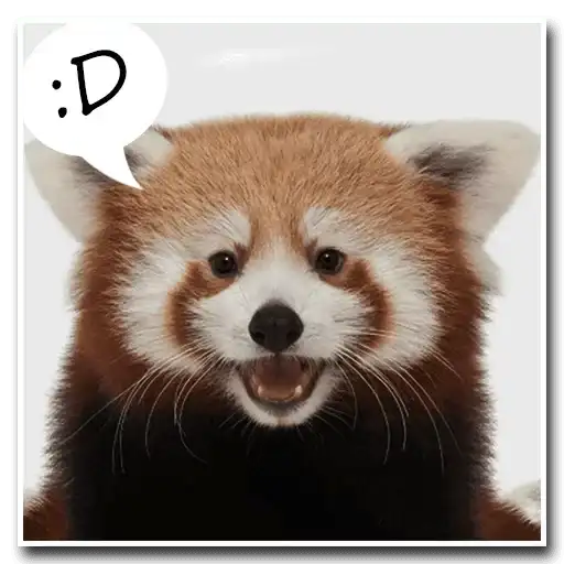 RED PandA preview