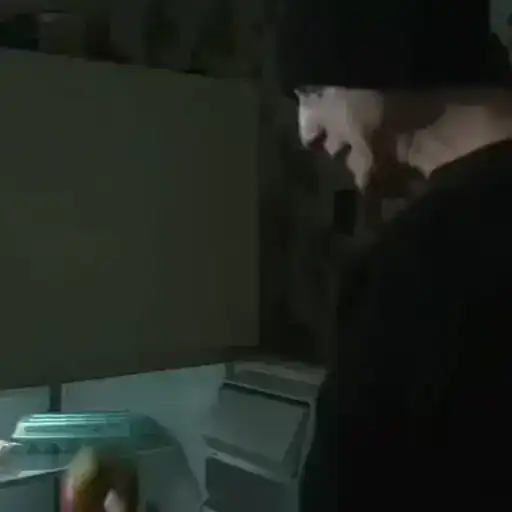 NF Video Sticker preview