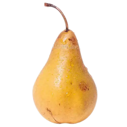 Фрукты preview