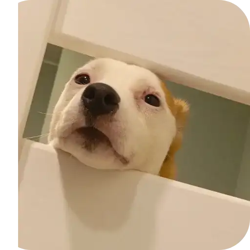 Джерри preview