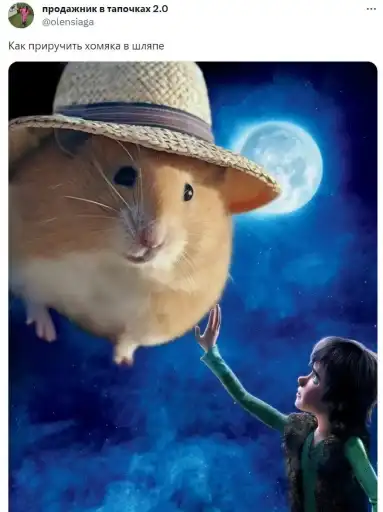 Хомяк в шляпе preview