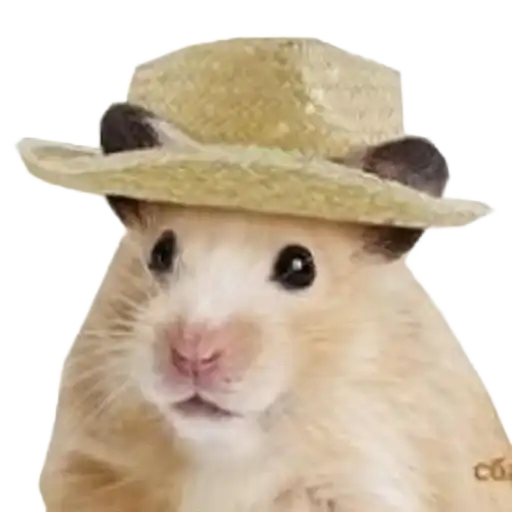 Хомяк в шляпе preview
