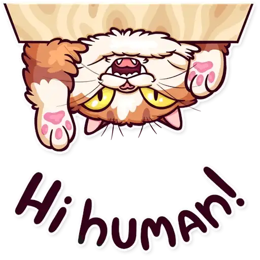 Sticker 👋
