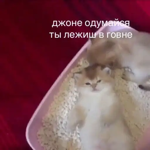 Sticker 🤦‍♀️